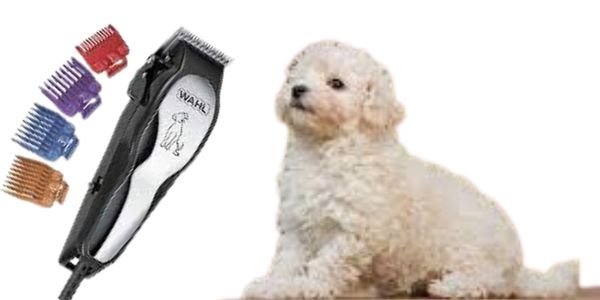 best dog clippers for maltipoo	