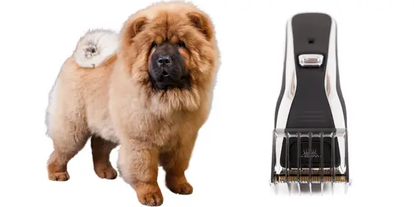 Best Clippers For Chow Chow